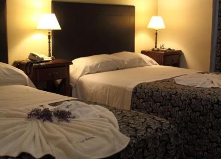 Hotel Plaza Roma 3*